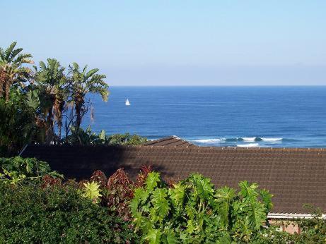 Birdcage B&B Amanzimtoti Zewnętrze zdjęcie
