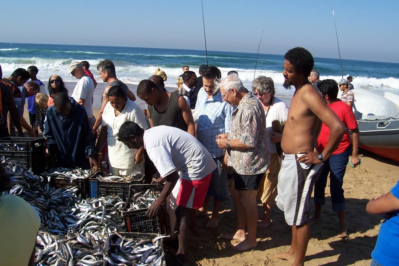 Birdcage B&B Amanzimtoti Zewnętrze zdjęcie