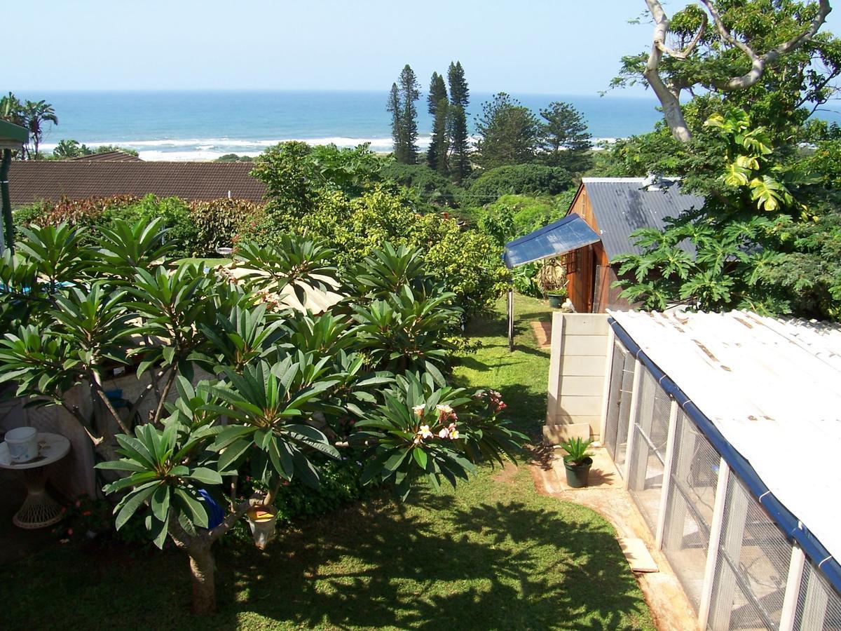 Birdcage B&B Amanzimtoti Zewnętrze zdjęcie